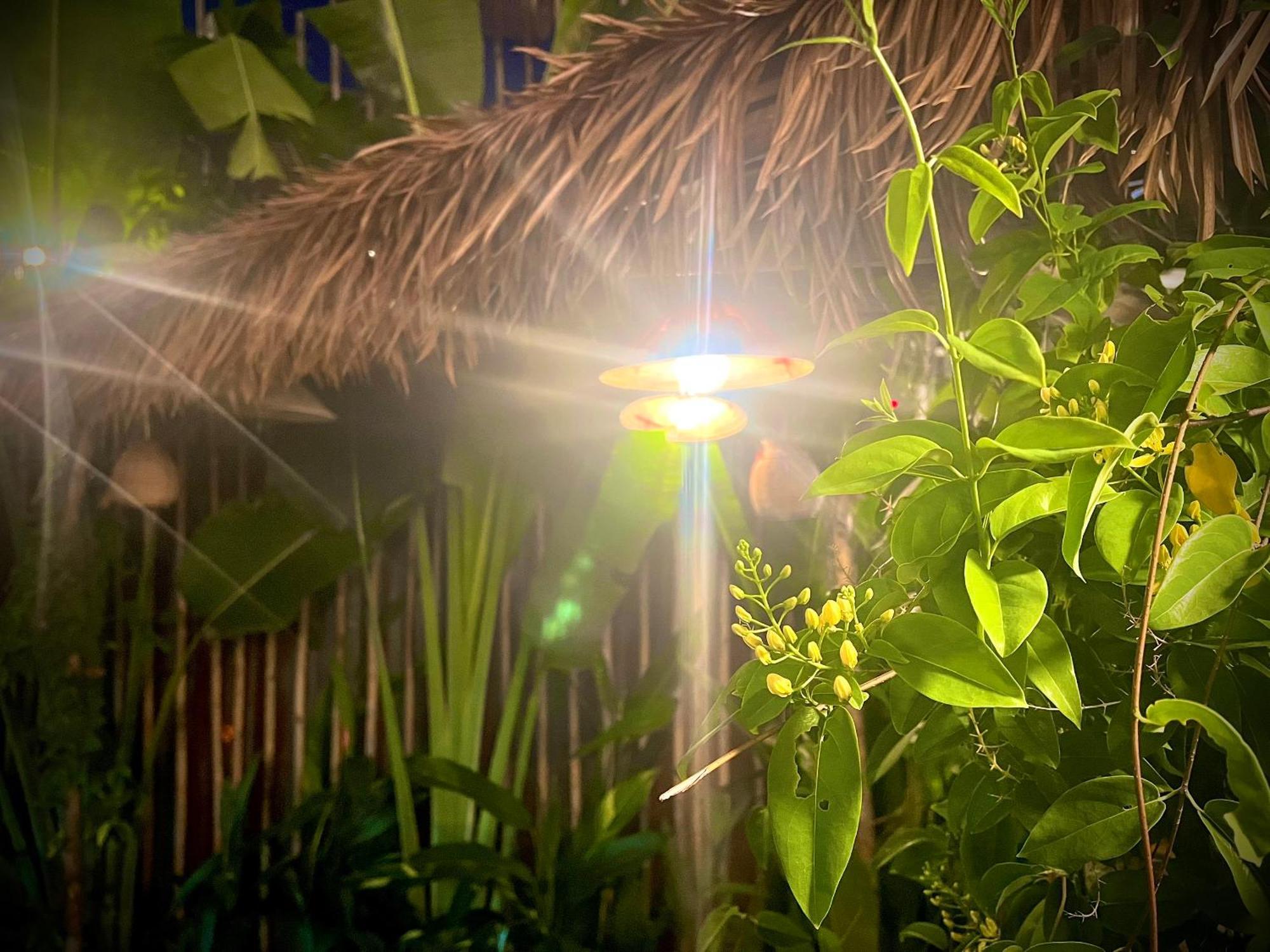 Ben Do Xua Homestay & Coffee Cai Rang Exterior photo